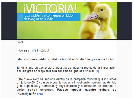 El negocio animalista