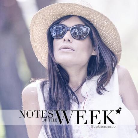 notes of the week barbara crespo tumblr social media instagram youtube instavideo