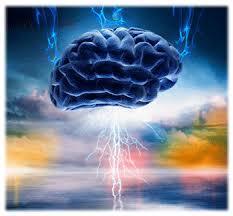 Sabías que … El Lóbulo Frontal lobulo frontal