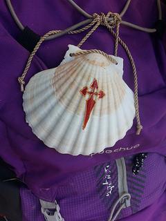 Camino de Santiago - Concha