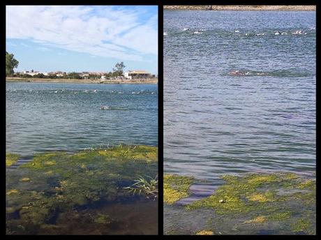 Where is the limit Deltebre. Trilimit