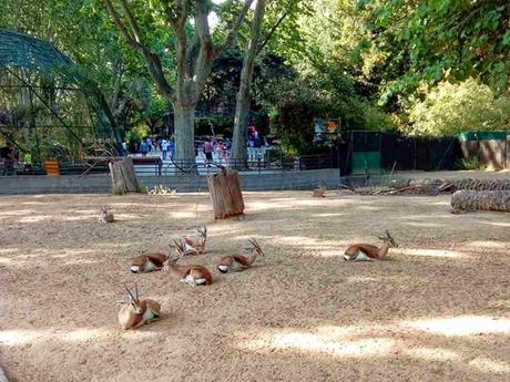 zoo de barcelona