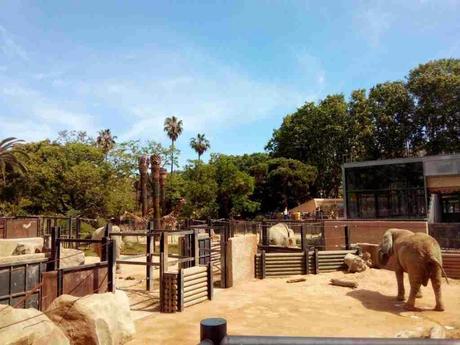 zoo de barcelona