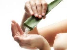 Aloe Vera para hidratar calmar piel irritada verano