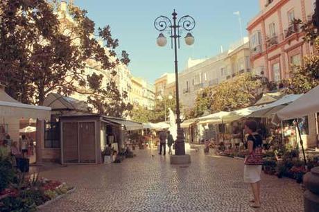 plaza-cadiz-dolega