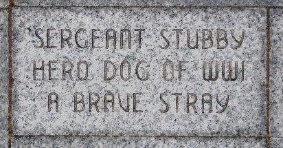 Héroes Inusuales IV: El sargento Stubby, el héroe más condecorado de la Gran Guerra