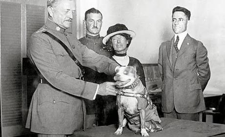 Héroes Inusuales IV: El sargento Stubby, el héroe más condecorado de la Gran Guerra