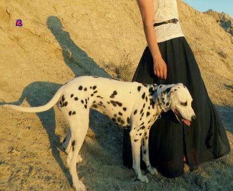 FlecoEnB&N-FringeInB&W-FringeEnN&B