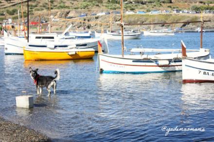 Playa, Cadaqués, Mediterráneo, Costa Brava