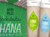 marca filipina Shokubutsu Hana crea valla natural capaz depurar agua río.