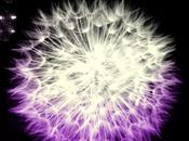 Reseña Adivina quien esta noche