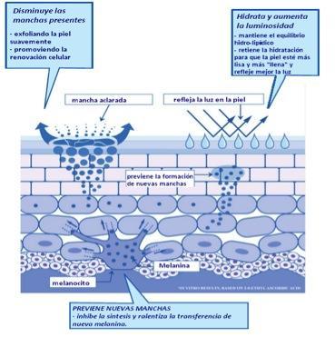 NUEVA LINEA ANTIMANCHAS CLEARLY CORRECTIVE WHITE DE KIEHL'S. NUEVA LINEA ANTIMANCHAS CLEARLY CORRECTIVE WHITE DE KIEHL'S.