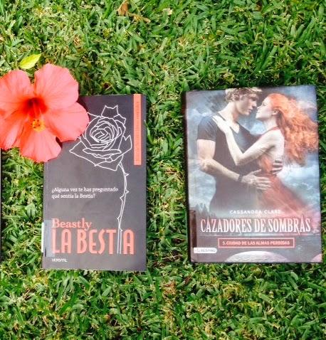 Bibliotequeando #3: Julio