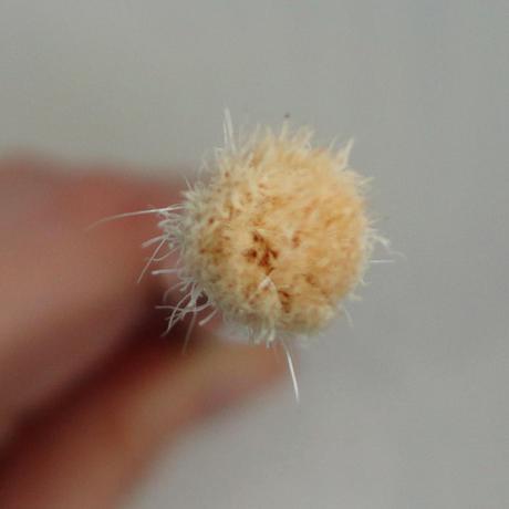 Review: Mis brochas de Buyincoins