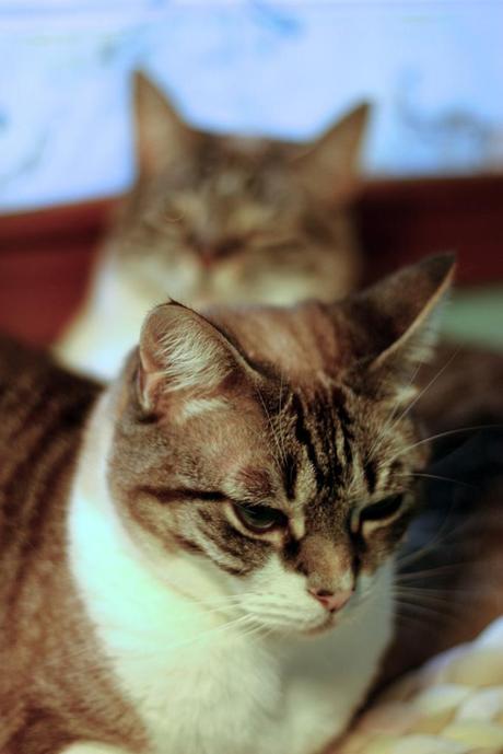 cata & toñita_11_20140228 - Version 2