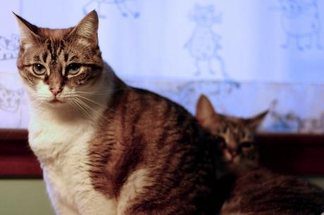 cata & toñita_3_20140228 - Version 2