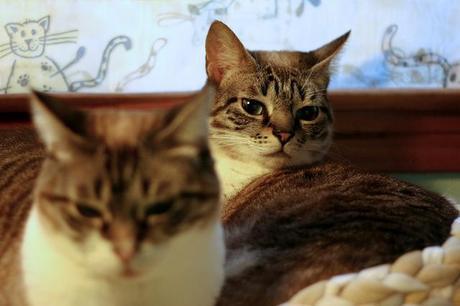 cata & toñita_14_20140228 - Version 2