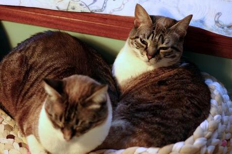 cata & toñita_20_20140228 - Version 2