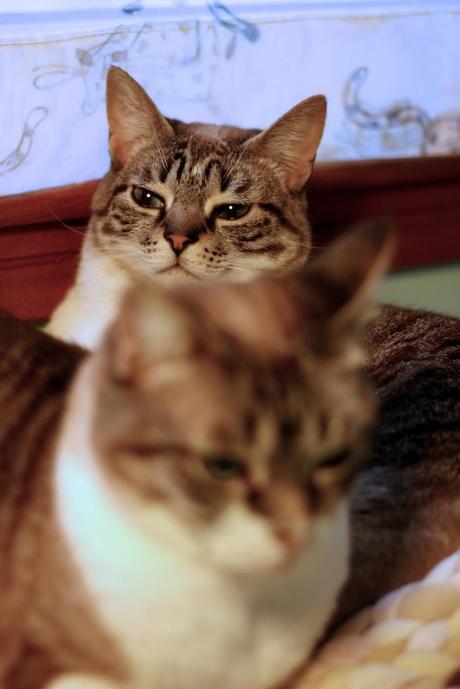 cata & toñita_10_20140228 - Version 2