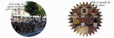 Lugares para Visitar