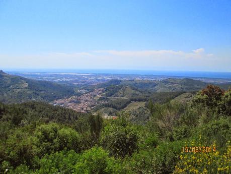 Gavá - Sant Martí de Porres - Gavá  15/06/2014