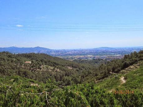 Gavá - Sant Martí de Porres - Gavá  15/06/2014