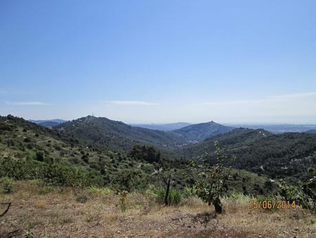 Gavá - Sant Martí de Porres - Gavá  15/06/2014