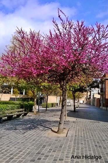 Vivir el presente, el día, el momento...