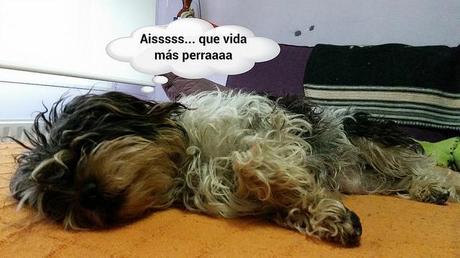 estamos tan agustito