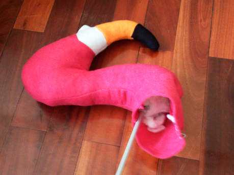 DIY colaborador: Pon un flamingo en tu vida