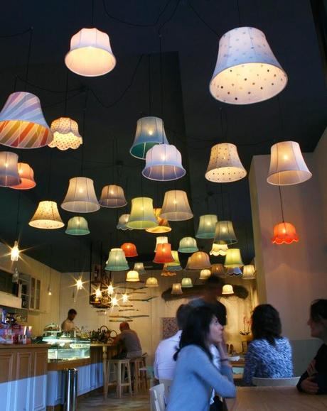 Cicero un bristo muy hogareño