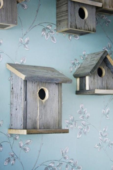 Cicero un bristo muy hogareño