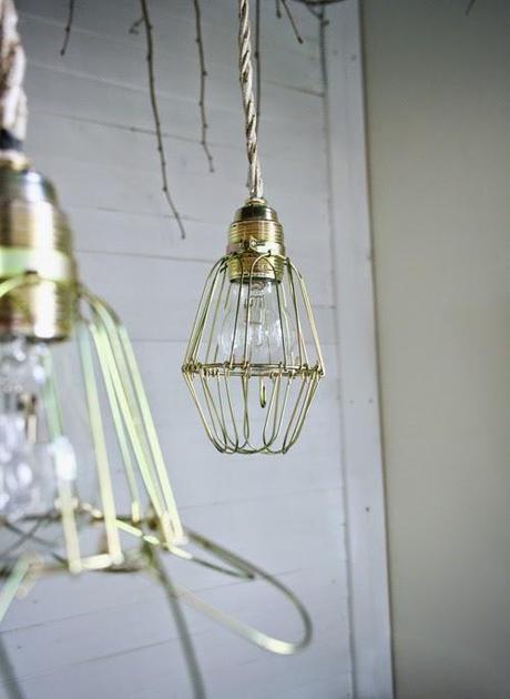 Cicero un bristo muy hogareño