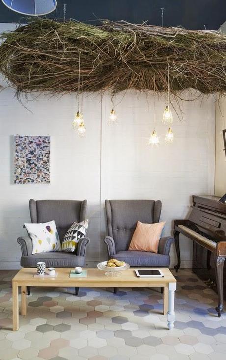 Cicero un bristo muy hogareño