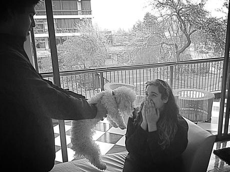 Cámara en mano #5 y #6