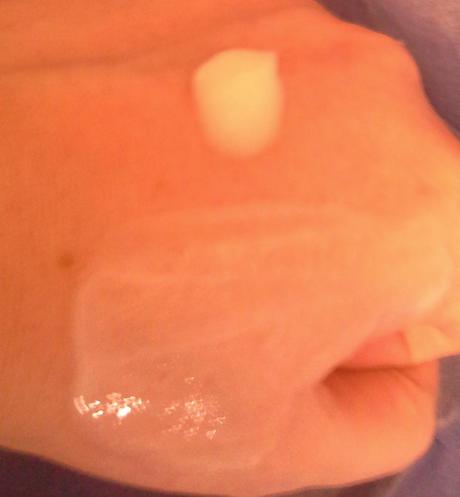 Leche Autobronceadora de Solcare