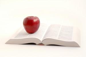 profesores particulares