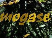 Mogase ultimo nombre trabajo trio Andrea...