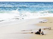 Verano #CostadaMorte