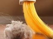 Consejos para Luchar contra Ácaros