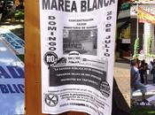 Baja Marea