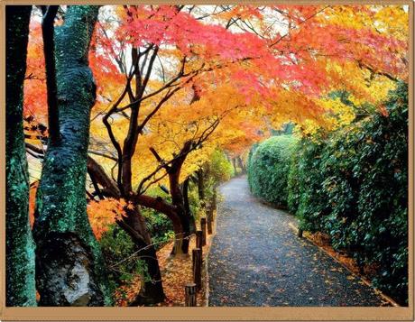 DE FIESTA: 3 LUGARES POR CONOCER