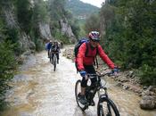 ¿Cuál nivel ciclista?