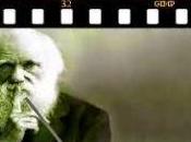 Revista VITRIOLVM número