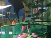 Magic Forest: decepción para nosotros