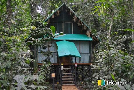 refugio en el medio de la jungla de costa rica