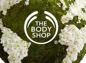 Nuevo body shop estación santa justa!!