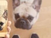 Casetify carcasas para móviles fotos Instagram