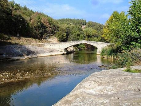 Puente cercano a la fábrica