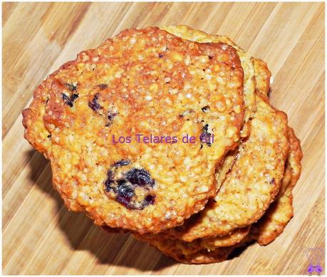 GALLETAS DE AVENA, AVELLANAS Y ARÁNDANOS